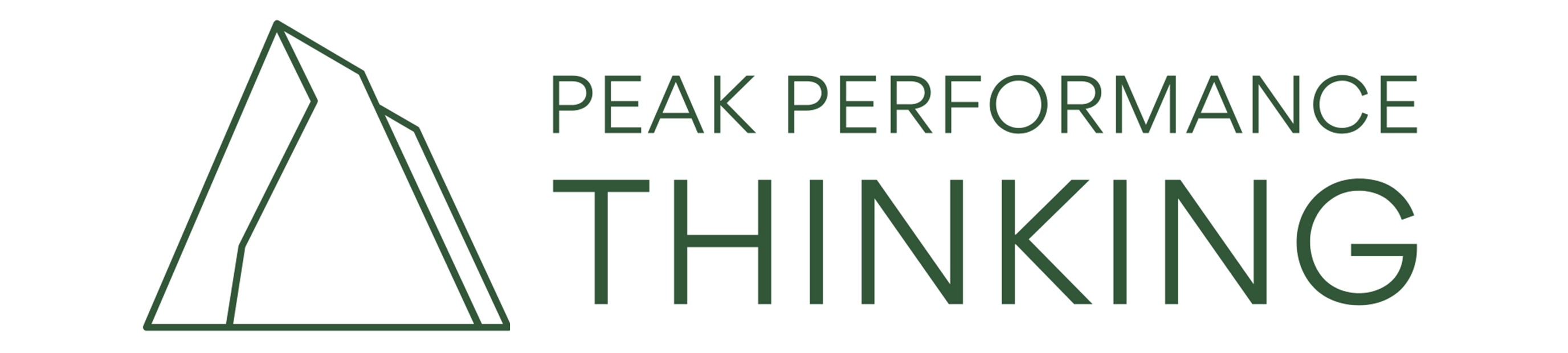 Peak Performance Thinking Logo